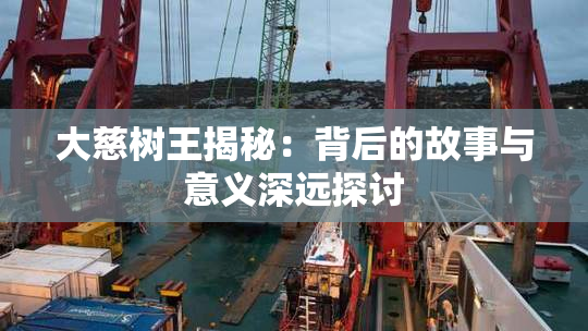 大慈树王揭秘：背后的故事与意义深远探讨