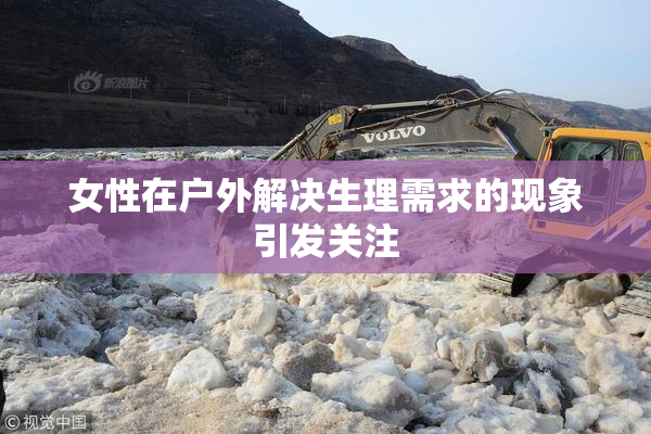 女性在户外解决生理需求的现象引发关注