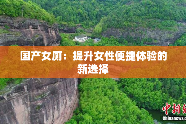 国产女厕：提升女性便捷体验的新选择