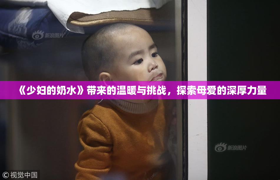 《少妇的奶水》带来的温暖与挑战，探索母爱的深厚力量