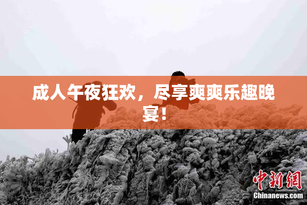 成人午夜狂欢，尽享爽爽乐趣晚宴！