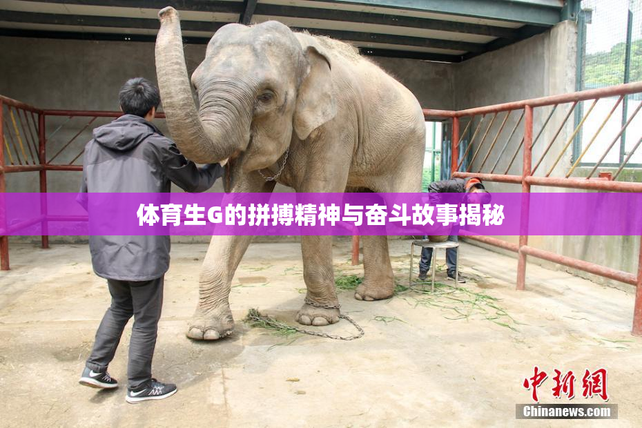体育生G的拼搏精神与奋斗故事揭秘