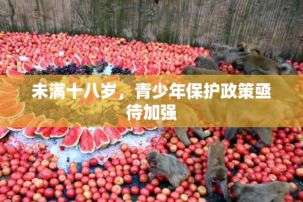 未满十八岁，青少年保护政策亟待加强