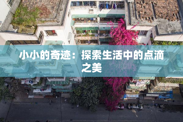 小小的奇迹：探索生活中的点滴之美