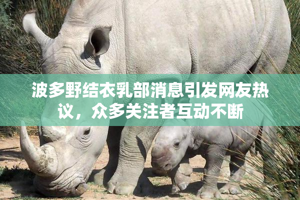 波多野结衣乳部消息引发网友热议，众多关注者互动不断