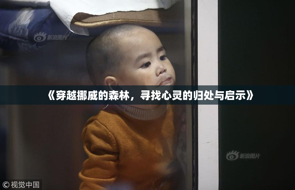 《穿越挪威的森林，寻找心灵的归处与启示》