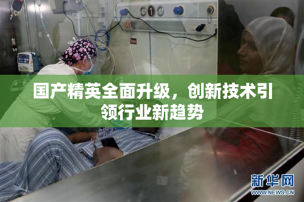 国产精英全面升级，创新技术引领行业新趋势