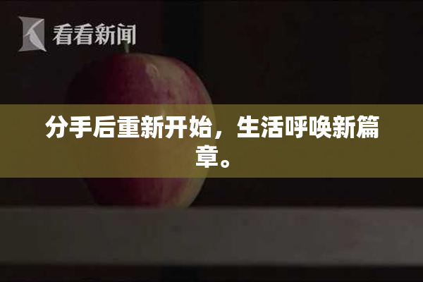 分手后重新开始，生活呼唤新篇章。