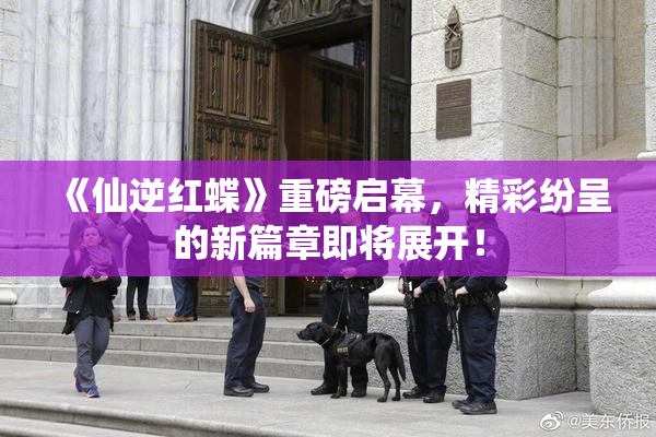 《仙逆红蝶》重磅启幕，精彩纷呈的新篇章即将展开！
