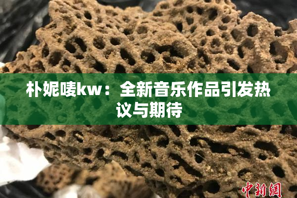 朴妮唛kw：全新音乐作品引发热议与期待