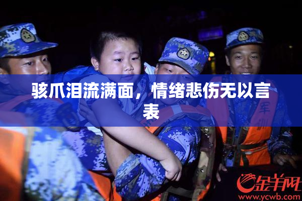 骇爪泪流满面，情绪悲伤无以言表