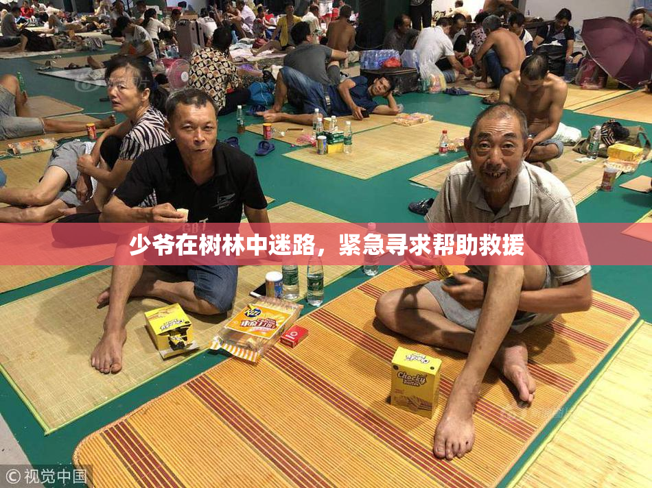 少爷在树林中迷路，紧急寻求帮助救援