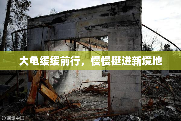 大龟缓缓前行，慢慢挺进新境地