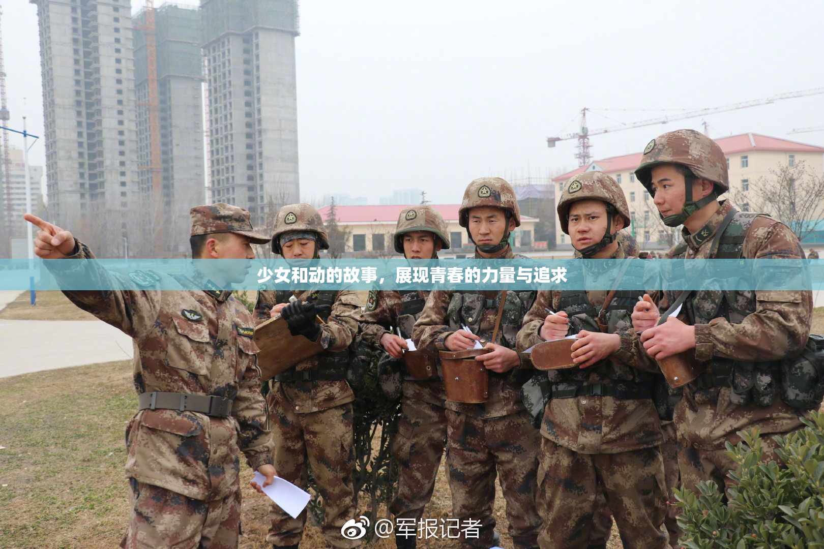 少女和动的故事，展现青春的力量与追求