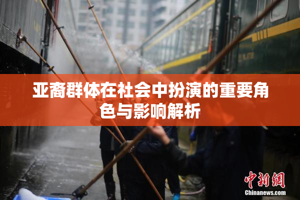 亚裔群体在社会中扮演的重要角色与影响解析