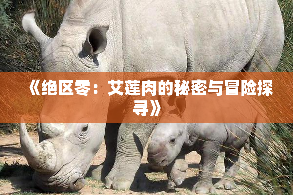 《绝区零：艾莲肉的秘密与冒险探寻》