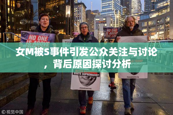 女M被S事件引发公众关注与讨论，背后原因探讨分析