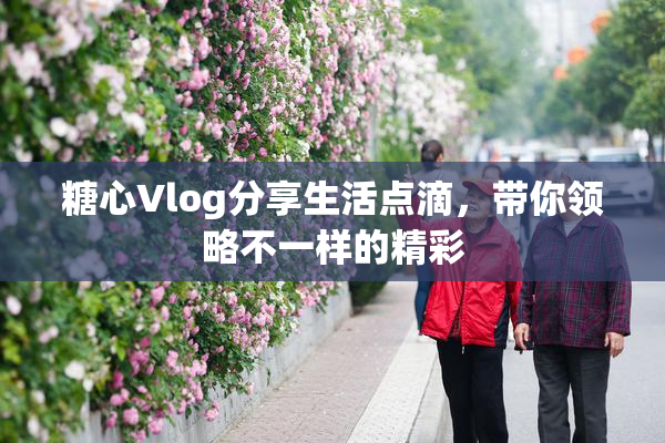 糖心Vlog分享生活点滴，带你领略不一样的精彩