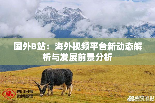 国外B站：海外视频平台新动态解析与发展前景分析