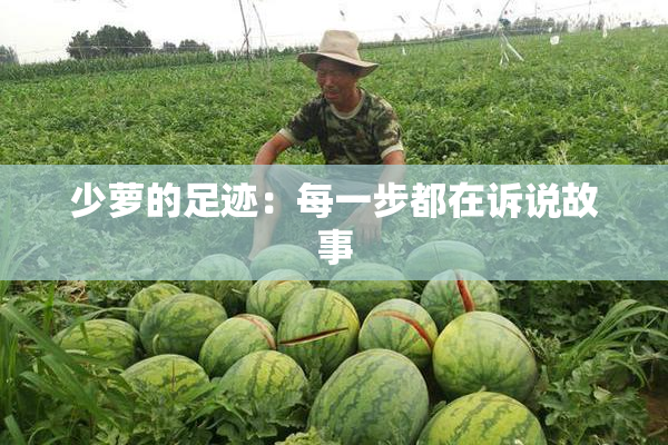 少萝的足迹：每一步都在诉说故事