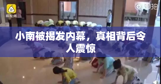 小南被揭发内幕，真相背后令人震惊