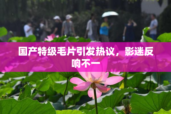 国产特级毛片引发热议，影迷反响不一