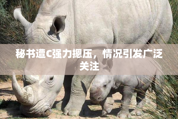 秘书遭C强力摁压，情况引发广泛关注