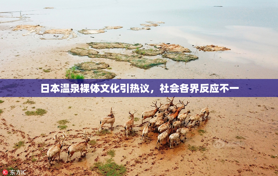 日本温泉裸体文化引热议，社会各界反应不一