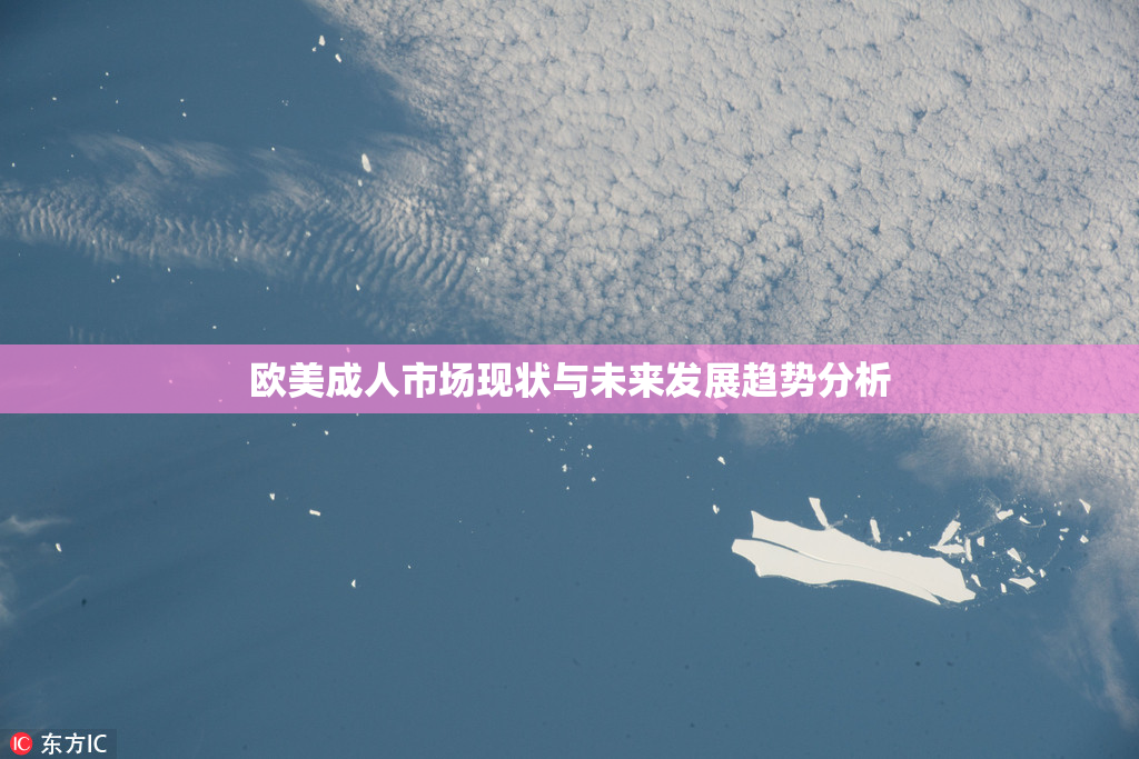 欧美成人市场现状与未来发展趋势分析