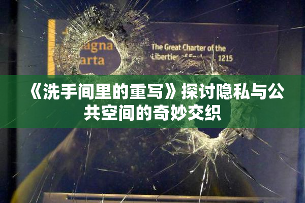 《洗手间里的重写》探讨隐私与公共空间的奇妙交织