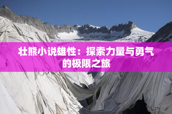 壮熊小说雄性：探索力量与勇气的极限之旅