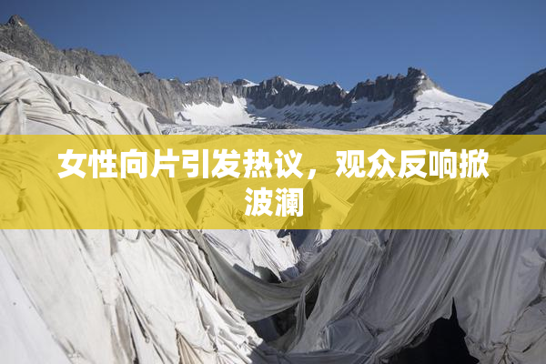 女性向片引发热议，观众反响掀波澜