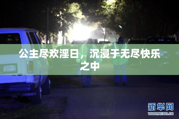 公主尽欢淫日，沉浸于无尽快乐之中