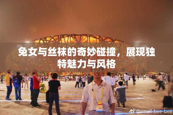 兔女与丝袜的奇妙碰撞，展现独特魅力与风格