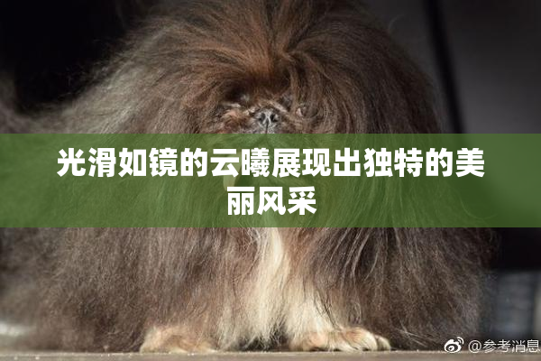光滑如镜的云曦展现出独特的美丽风采