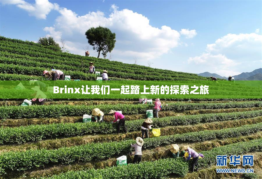 Brinx让我们一起踏上新的探索之旅
