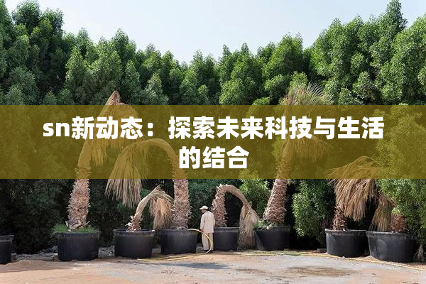 sn新动态：探索未来科技与生活的结合