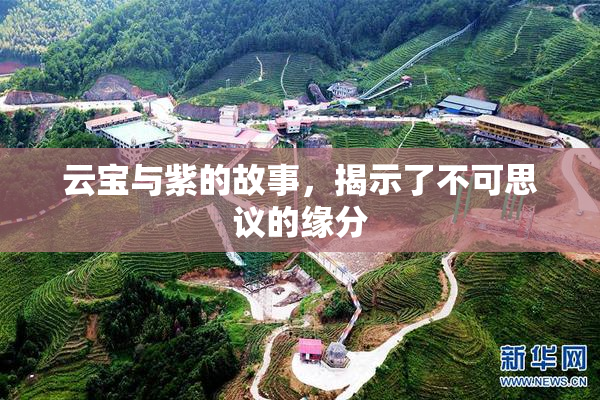 云宝与紫的故事，揭示了不可思议的缘分
