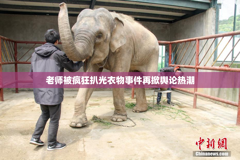老师被疯狂扒光衣物事件再掀舆论热潮