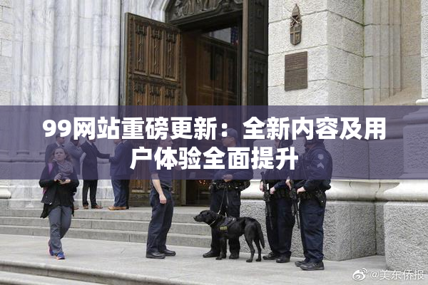 99网站重磅更新：全新内容及用户体验全面提升
