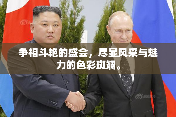 争相斗艳的盛会，尽显风采与魅力的色彩斑斓。
