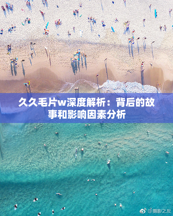久久毛片w深度解析：背后的故事和影响因素分析