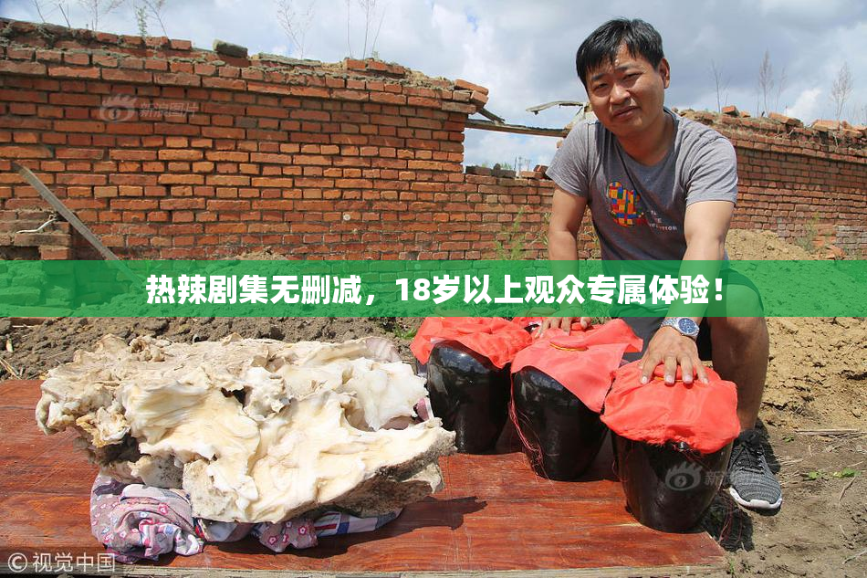 热辣剧集无删减，18岁以上观众专属体验！