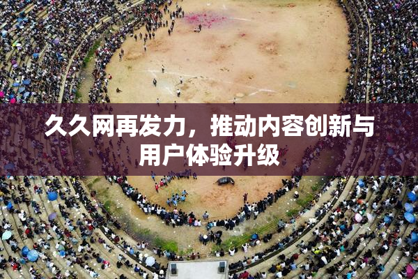 久久网再发力，推动内容创新与用户体验升级