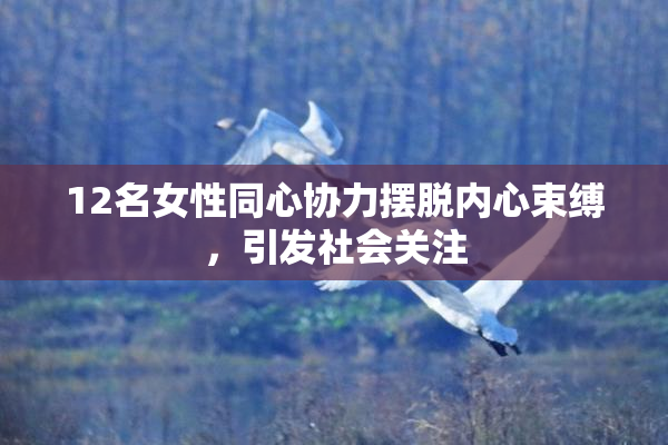 12名女性同心协力摆脱内心束缚，引发社会关注