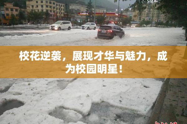 校花逆袭，展现才华与魅力，成为校园明星！