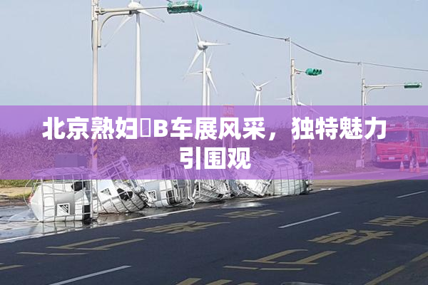 北京熟妇槡B车展风采，独特魅力引围观