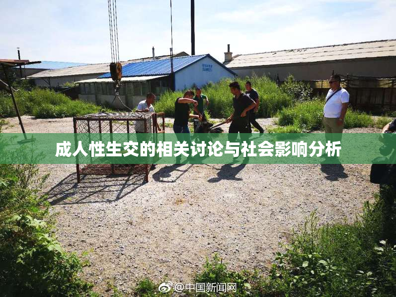 成人性生交的相关讨论与社会影响分析