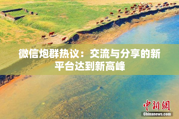 微信炮群热议：交流与分享的新平台达到新高峰