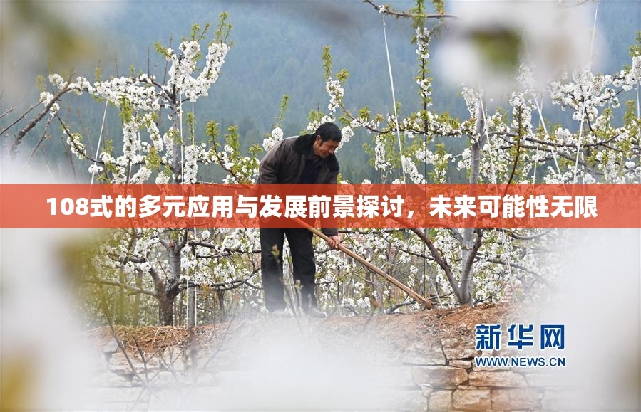 108式的多元应用与发展前景探讨，未来可能性无限